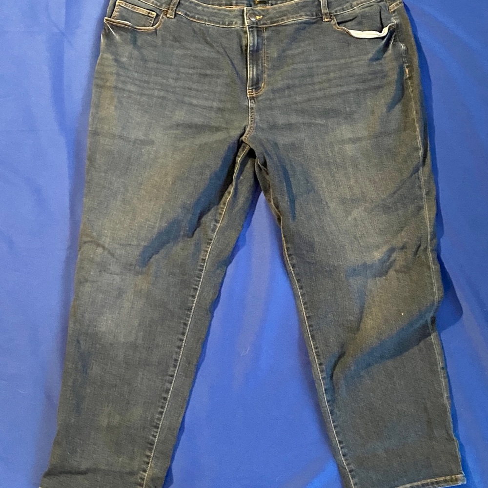 Dress Barn Plus Size Jeans